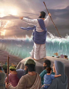 The Complete Illustrated Children's Bible - Kids (4-8)