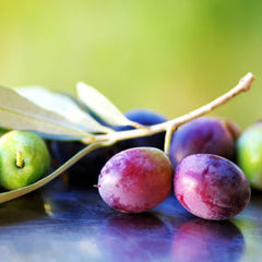Italian Coratina - Extra Virgin Olive Oil
