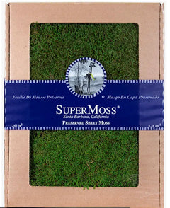 Sheet Moss