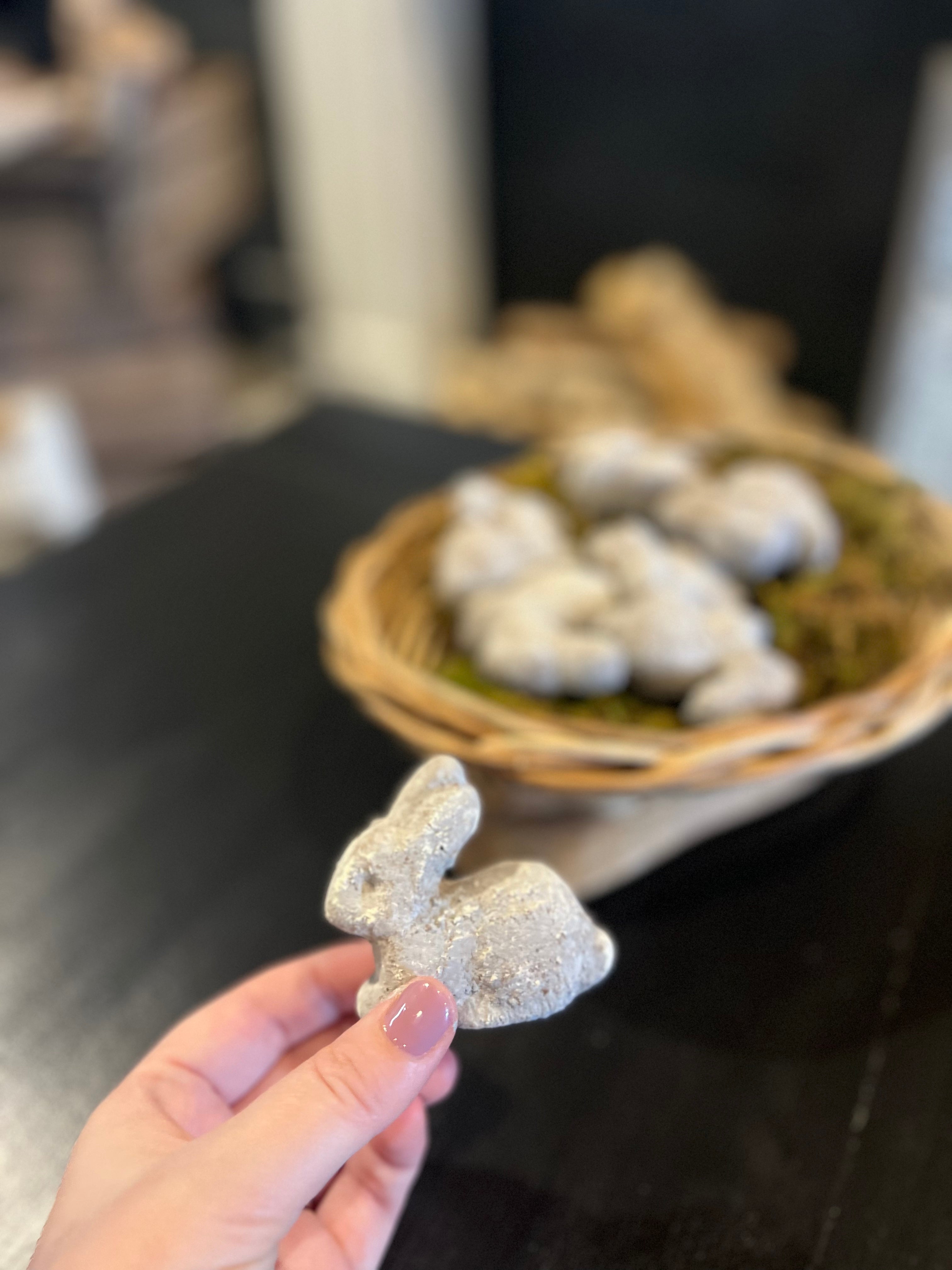 Concrete Bunny Bundle