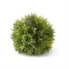 Podocarpus Ball