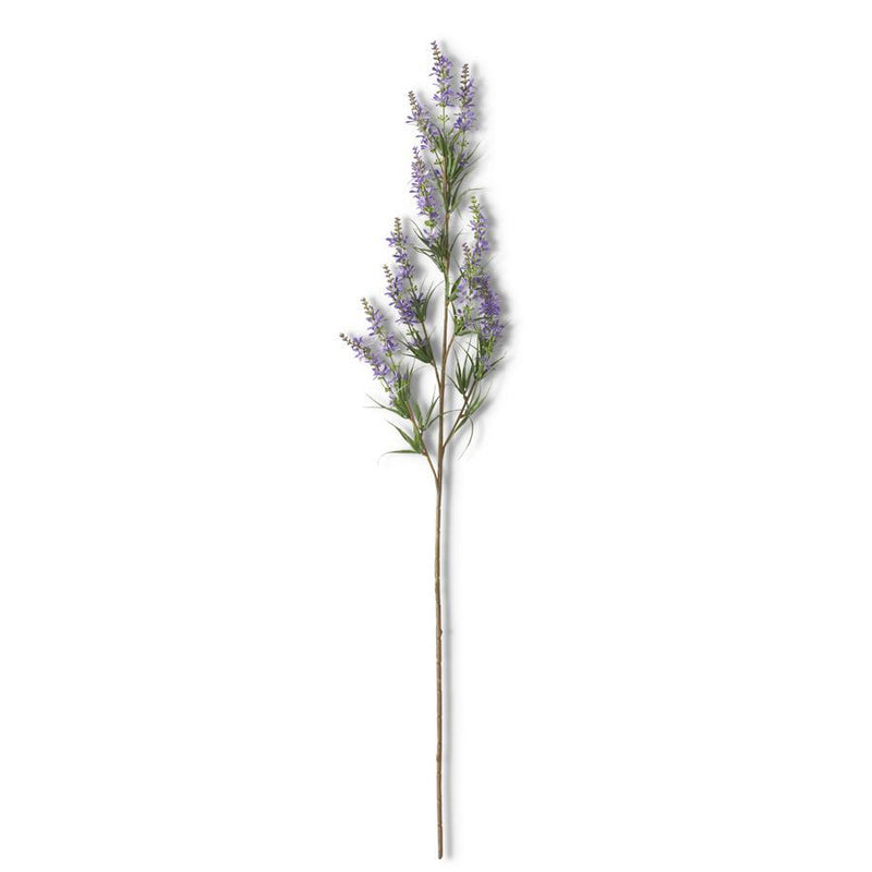 Purple Golden Rod Stem
