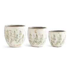 Cream Crackle Pots w/Fern Stem Decal