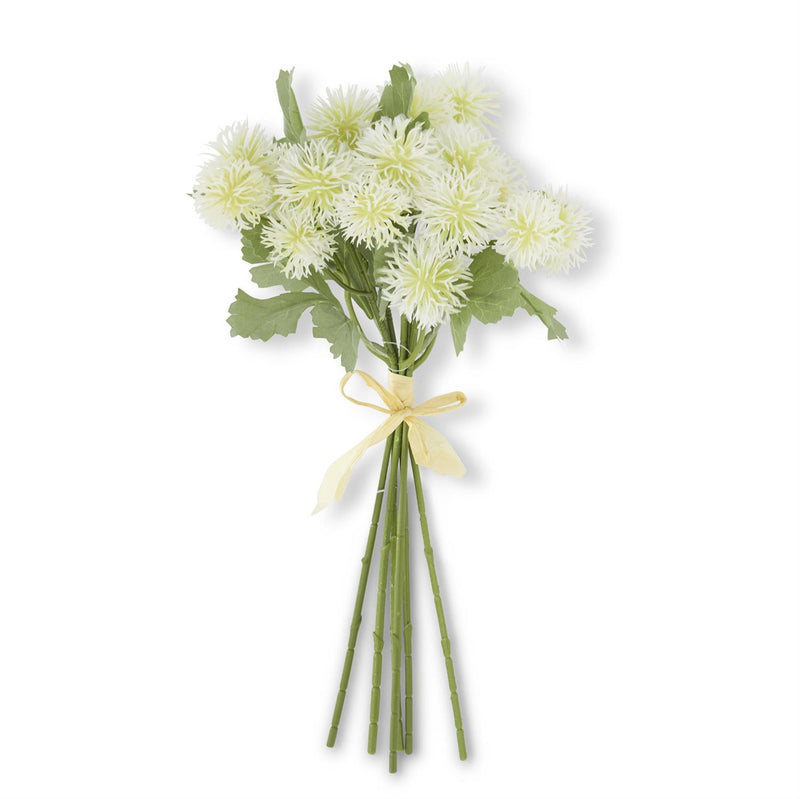 White Sycamore Fruit Ball Bundle (6 Stems)