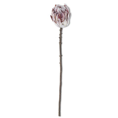 Flocked Purple King Protea Stem