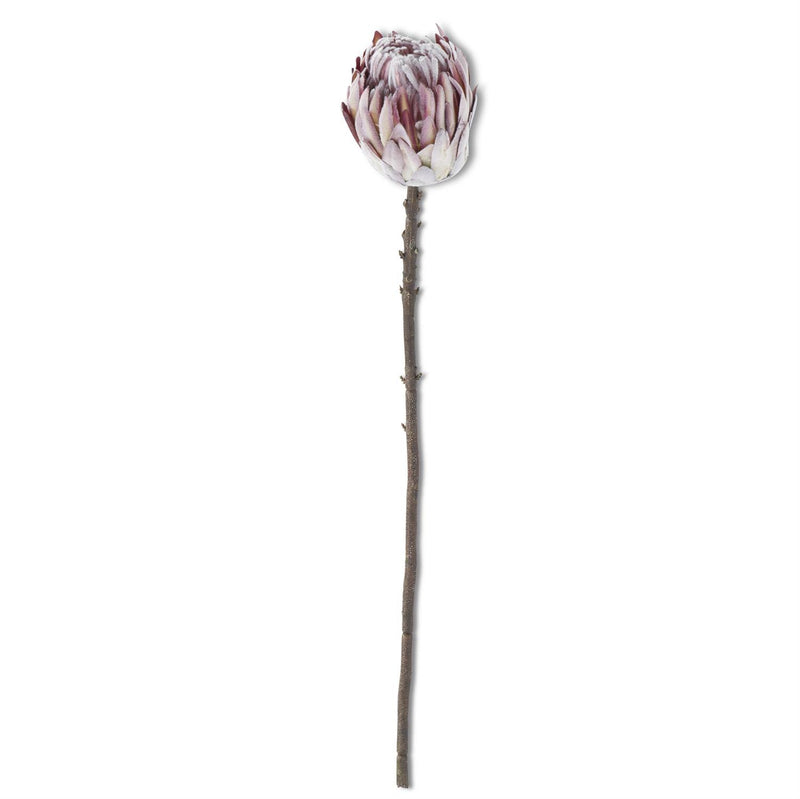 Flocked Purple King Protea Stem