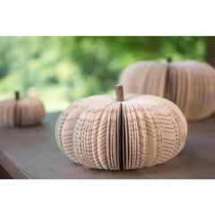 Book Pumpkin