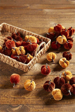Harvest Mini Pumpkin Set