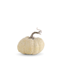 Whitewashed Textured Pumpkin