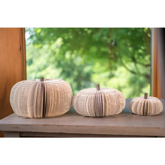 Book Pumpkin