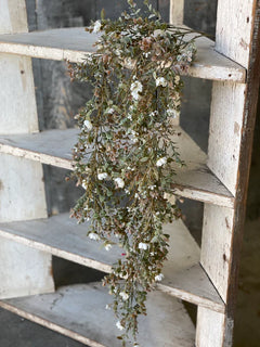 Chalice Blooms Hanging