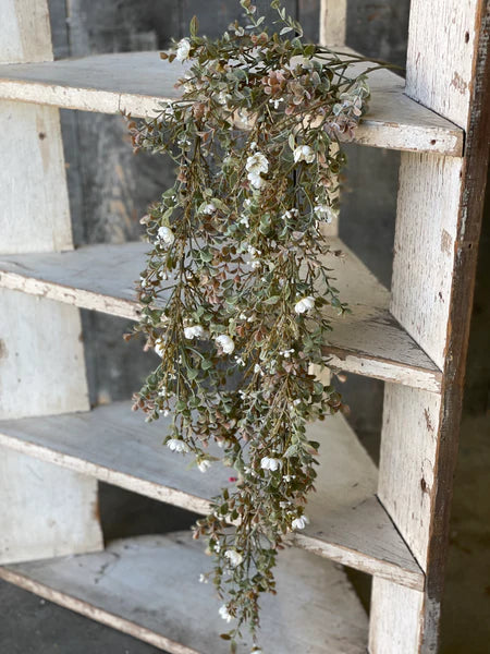 Chalice Blooms Hanging
