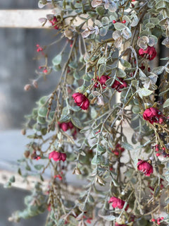 Chalice Blooms Hanging