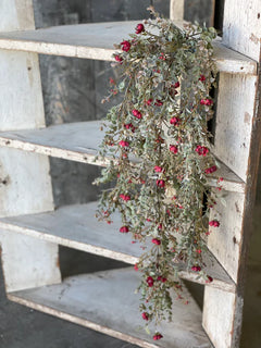 Chalice Blooms Hanging