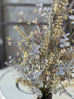 Autumn Haze Bush