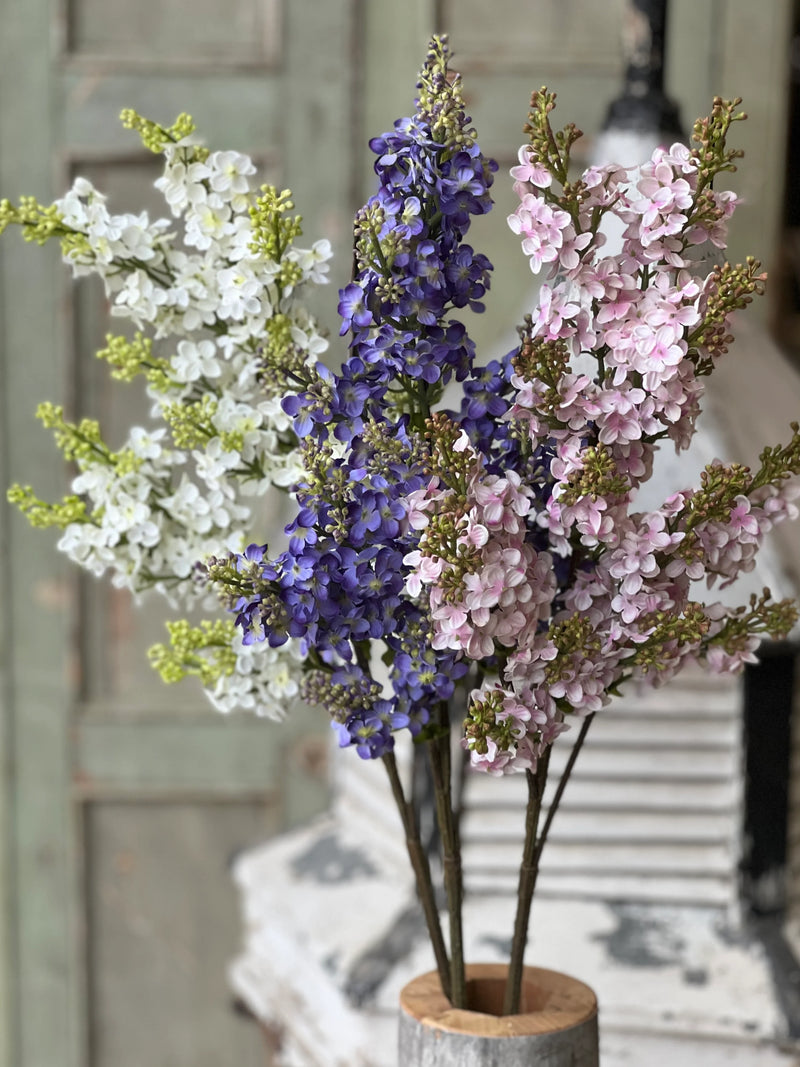 Chiffon Spires Lilac