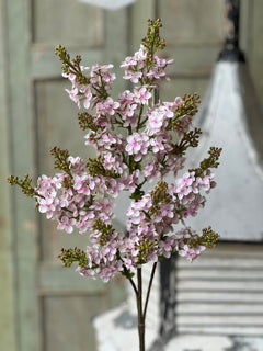 Chiffon Spires Lilac