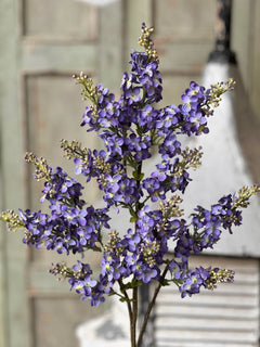 Chiffon Spires Lilac