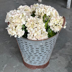 Large Metal Olive Bucket