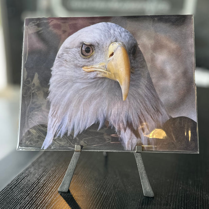 Portraits of the Season