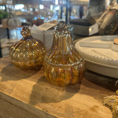 Glass Pumpkin/Squash Jar
