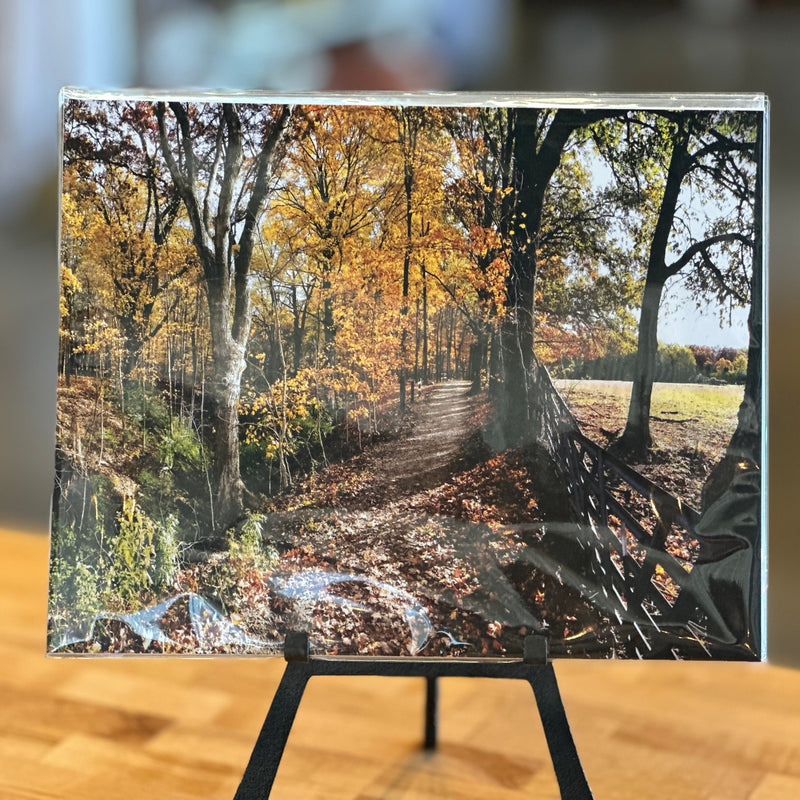 Portraits of the Season