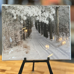 Portraits of the Season