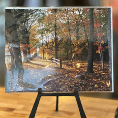 Portraits of the Season