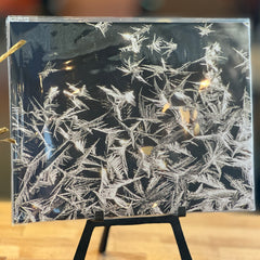 Portraits of the Season