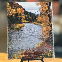 Portraits of the Season