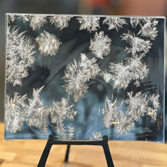 Portraits of the Season