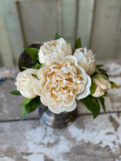 Floret Peony Bundle