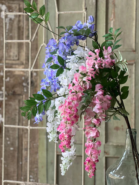 Waterfall Wisteria