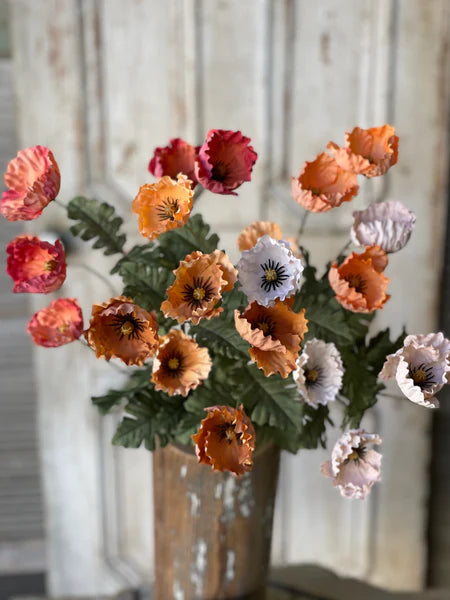 Slumberland Poppy