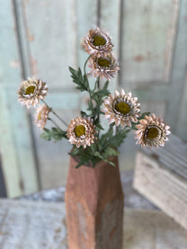Horizon Blooms