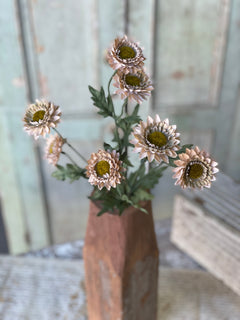 Horizon Blooms