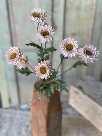 Horizon Blooms