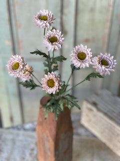 Horizon Blooms