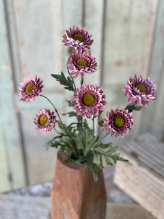 Horizon Blooms