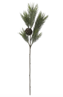 37" Long Needle Pine Stem w/one Pinecone &amp; Pods