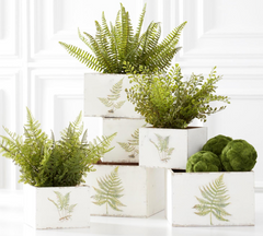 White Wood Nesting Boxes with Fern Decals