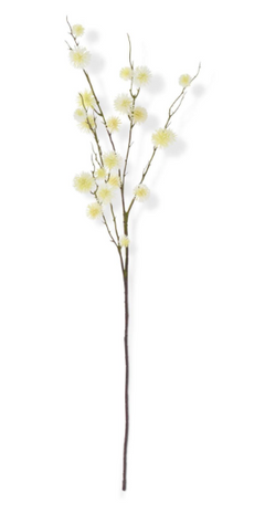 34" Sycamore Fruit Ball Stem