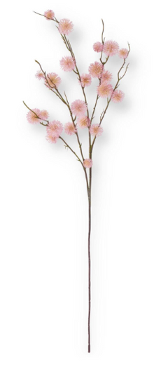 34" Sycamore Fruit Ball Stem