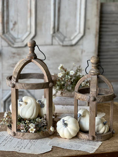 Bagged Fall's Folly Mini Pumpkins