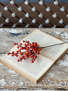 Orange Cranberries Pick