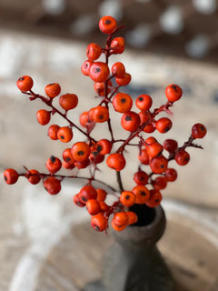 Orange Cranberries Pick