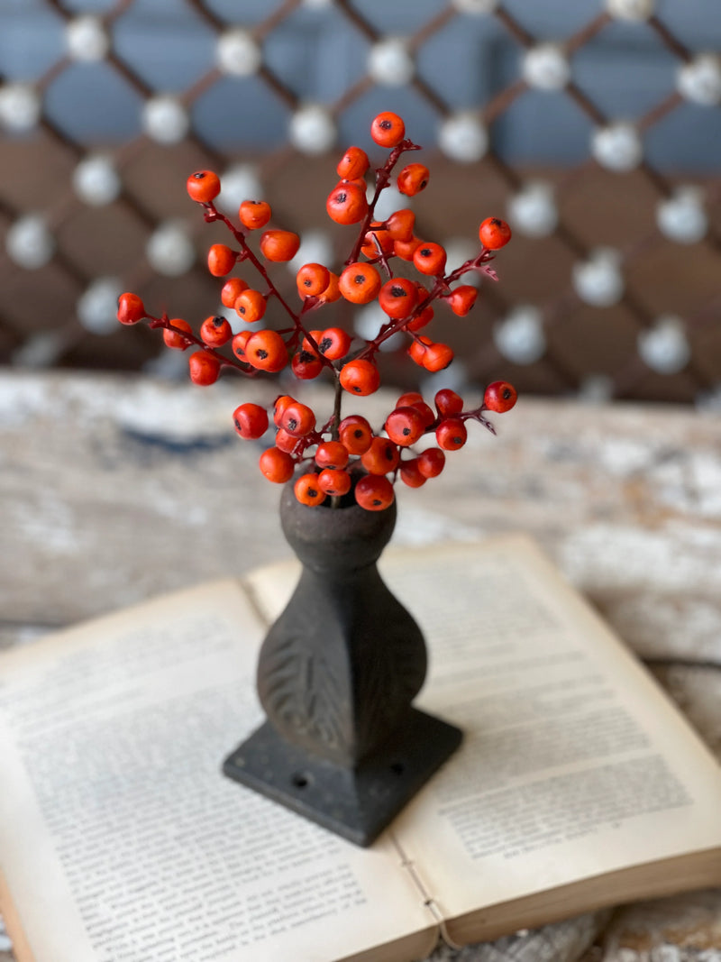 Orange Cranberries Pick