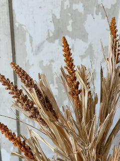 Millet Grass Bush