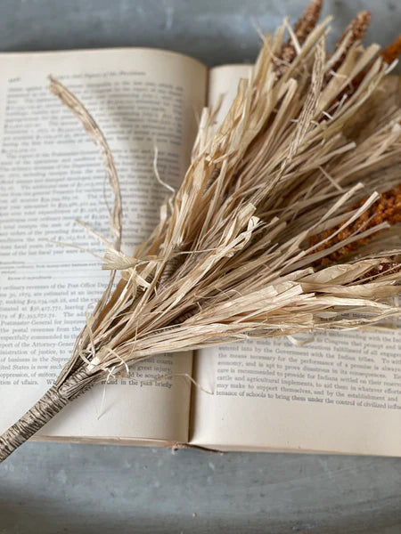 Millet Grass Bush