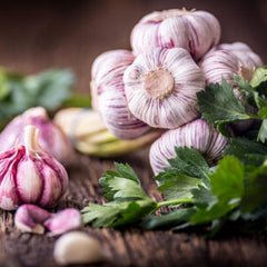 Garlic Cilantro - Dark Balsamic Vinegar